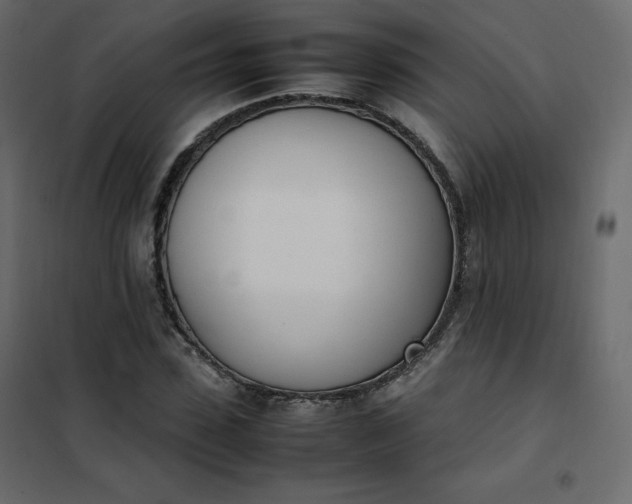 X0000102260923200808081357