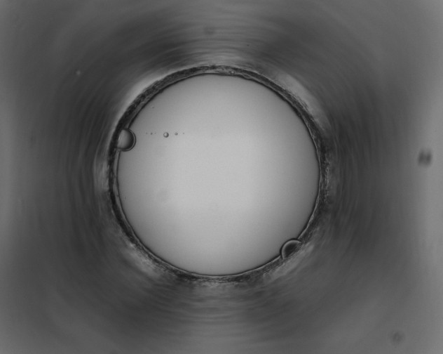 X0000102260924200808081357