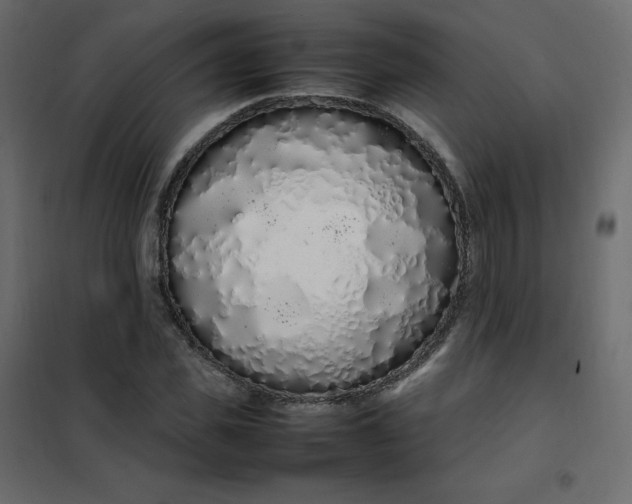 X0000102260925200808081357