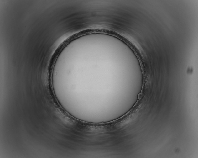 X0000102260927200808081357