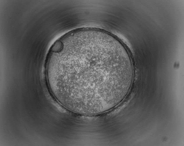 X0000102260928200808081357