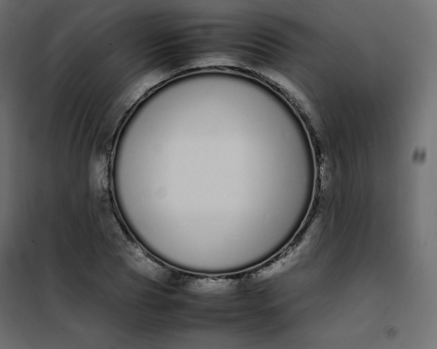 X0000102260929200808081357