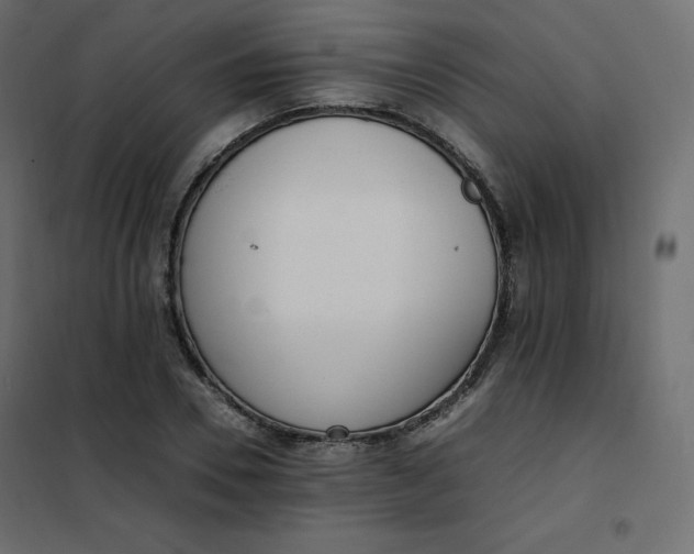 X0000102260930200808081357