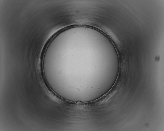 X0000102260932200808081357