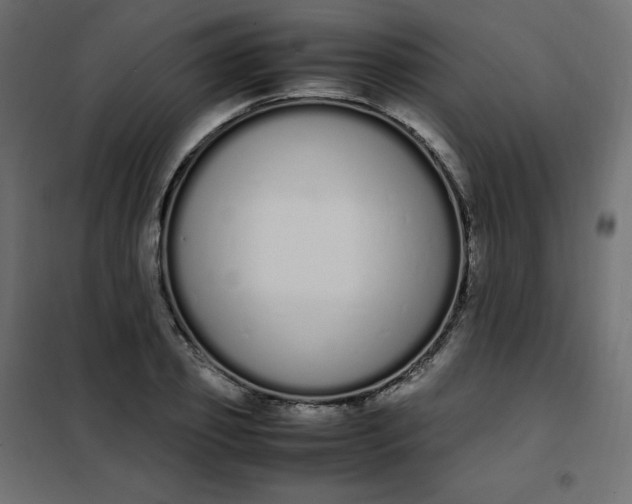 X0000102260933200808081357