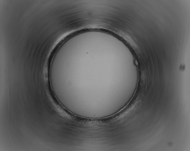 X0000102260934200808081357