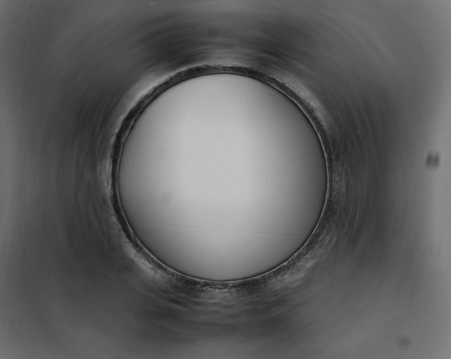 X0000102260935200808081357