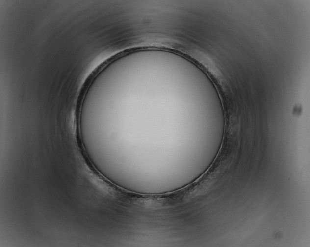 X0000102260936200808081357