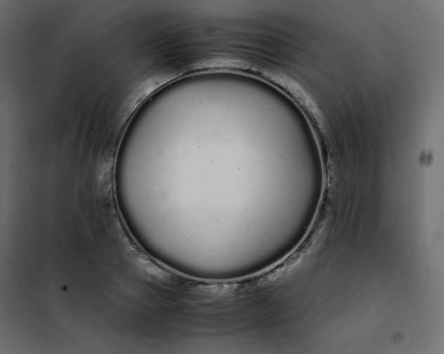 X0000102260937200808081357