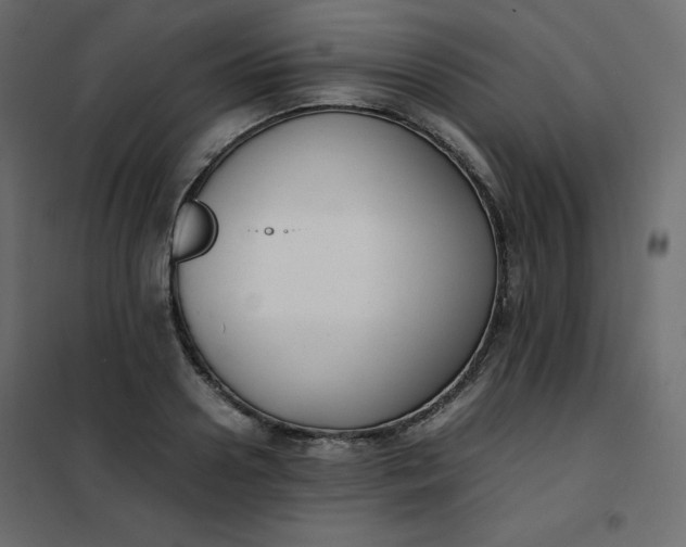 X0000102260938200808081357