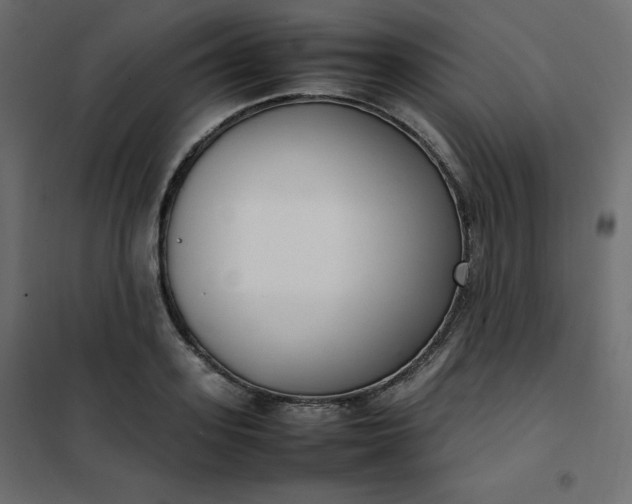 X0000102260939200808081357