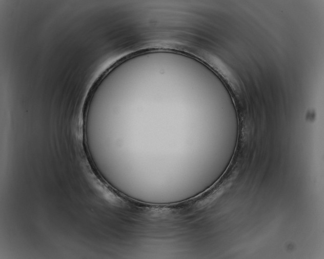 X0000102260940200808081357