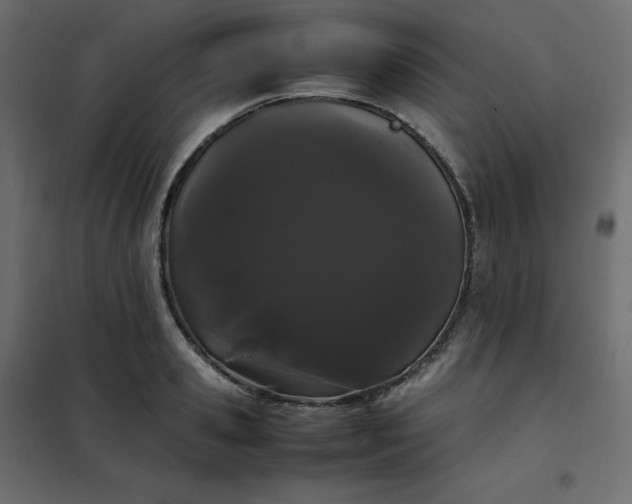 X0000102260941200808081357