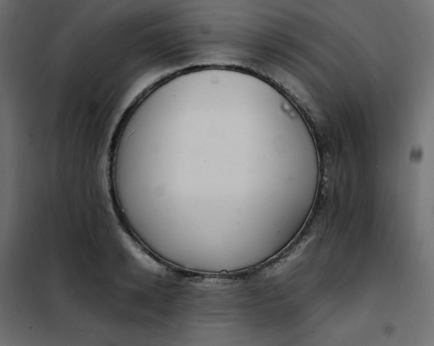 X0000102260942200808081357