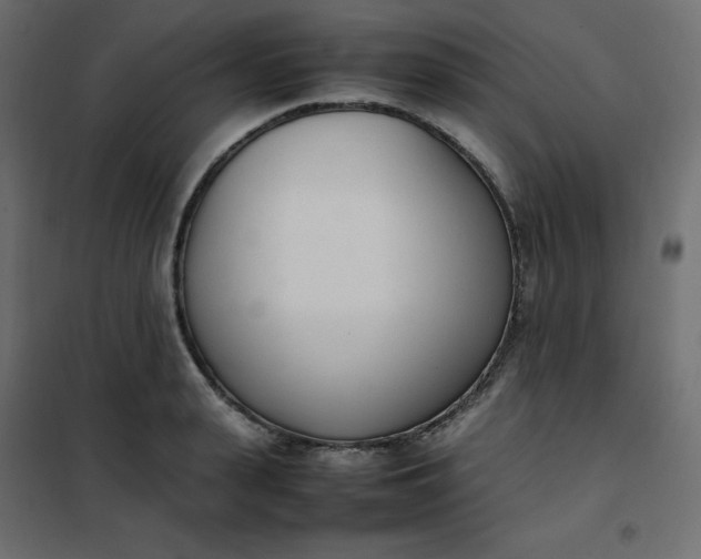 X0000102260943200808081357