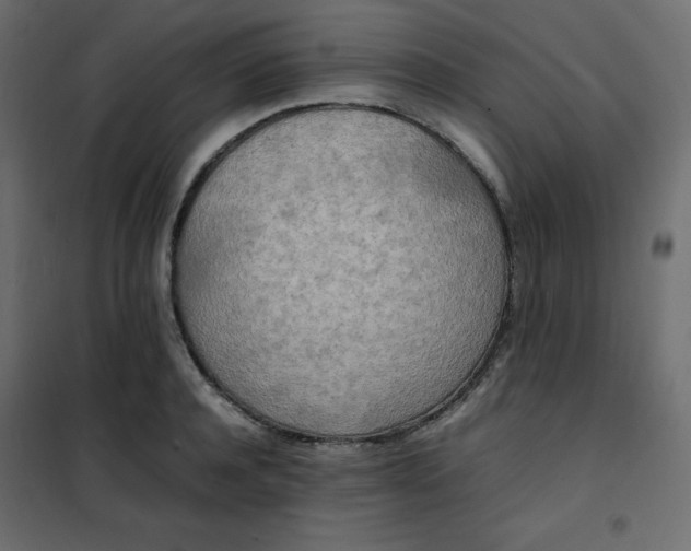 X0000102260944200808081357