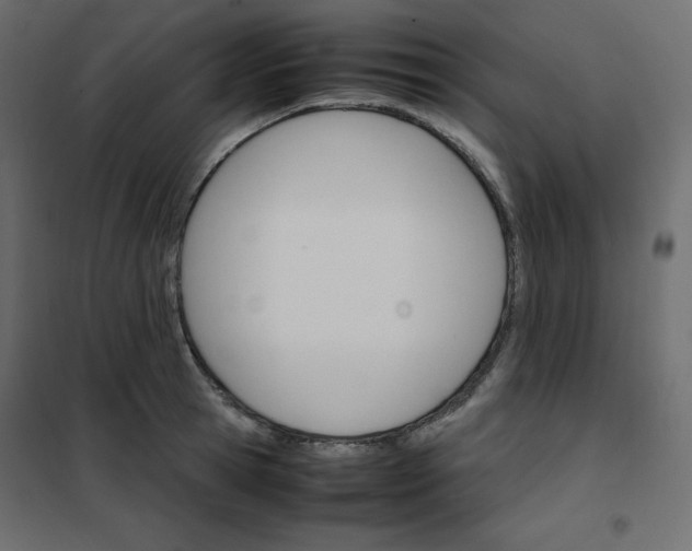 X0000102260945200808081357