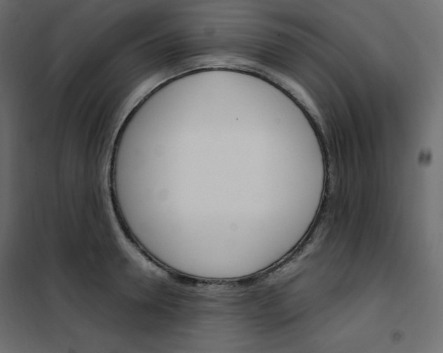 X0000102260946200808081357