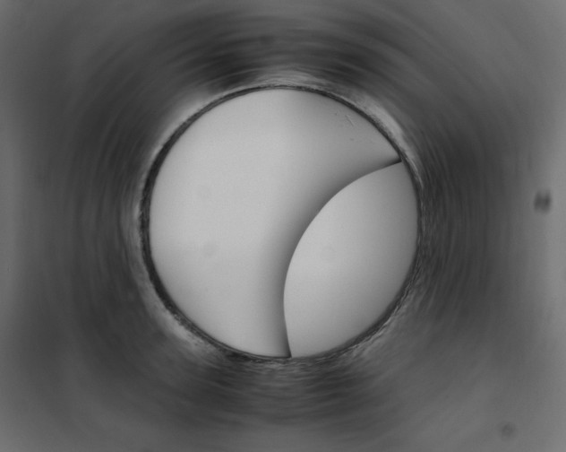 X0000102260947200808081357