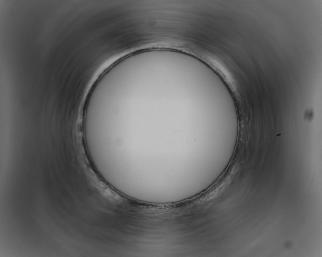 X0000102260948200808081357