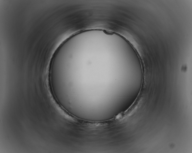 X0000102260949200808081357