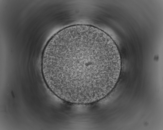 X0000102260950200808081357