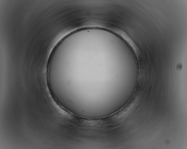 X0000102260951200808081357