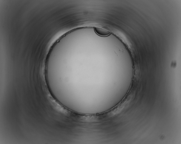 X0000102260952200808081357