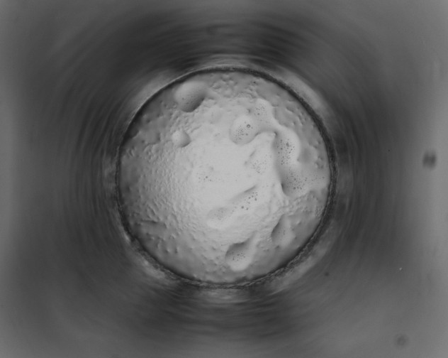 X0000102260953200808081357