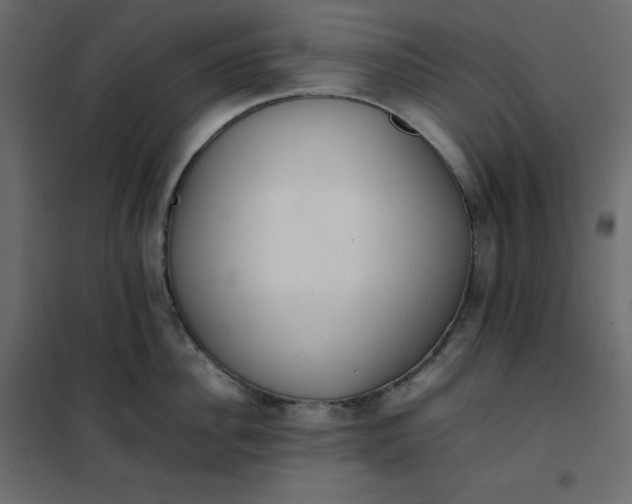 X0000102260956200808081357