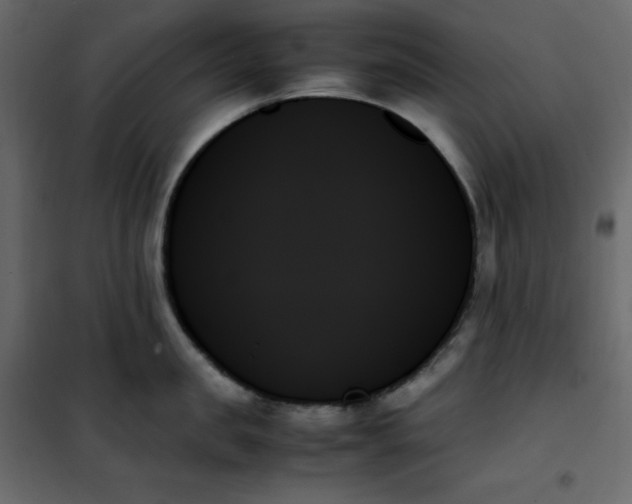 X0000102260957200808081357