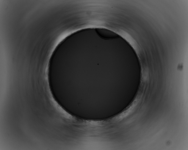 X0000102260958200808081357