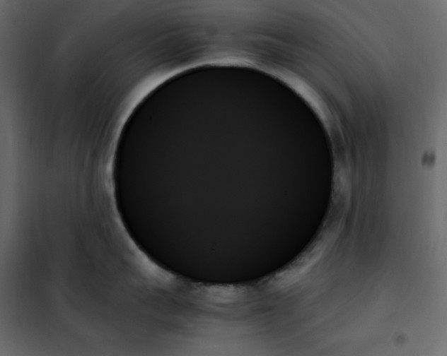 X0000102260959200808081357