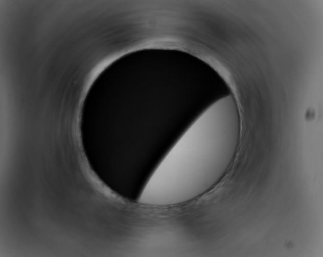 X0000102260960200808081357