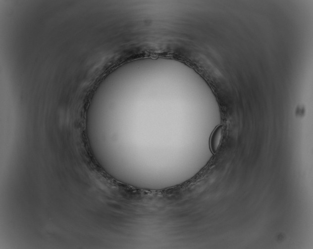 X0000102260961200808081357