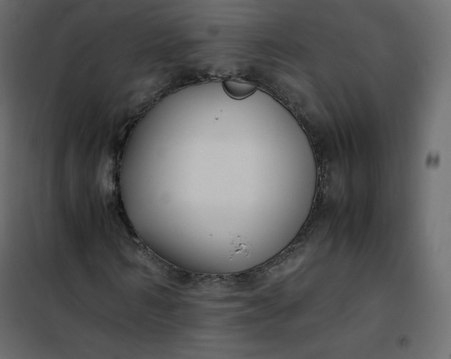 X0000102260962200808081357