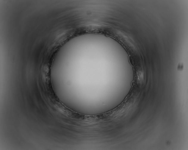 X0000102260964200808081357