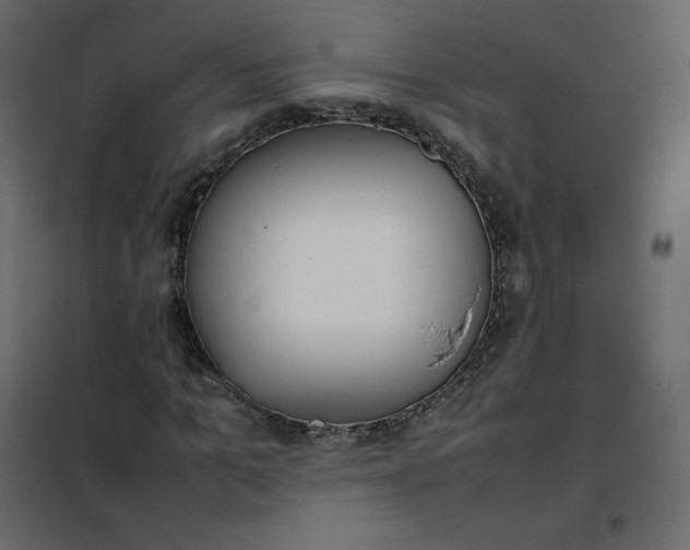 X0000102260965200808081357