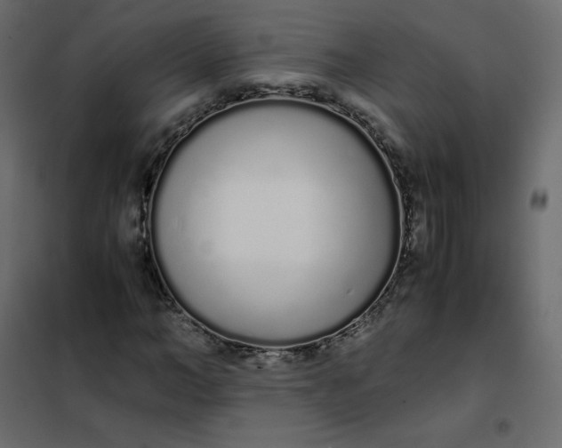 X0000102260966200808081357