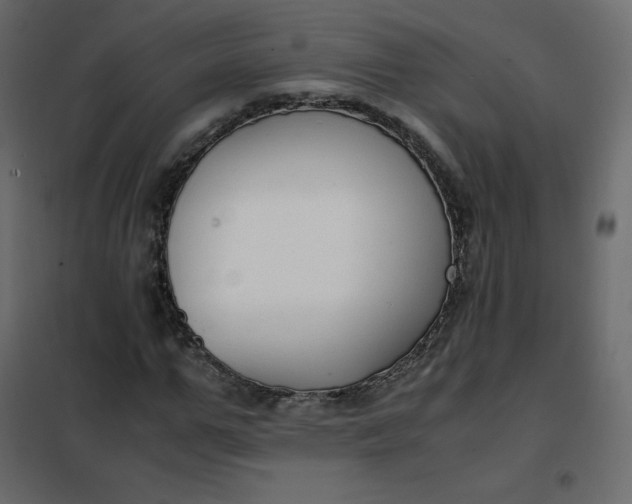 X0000102260967200808081357