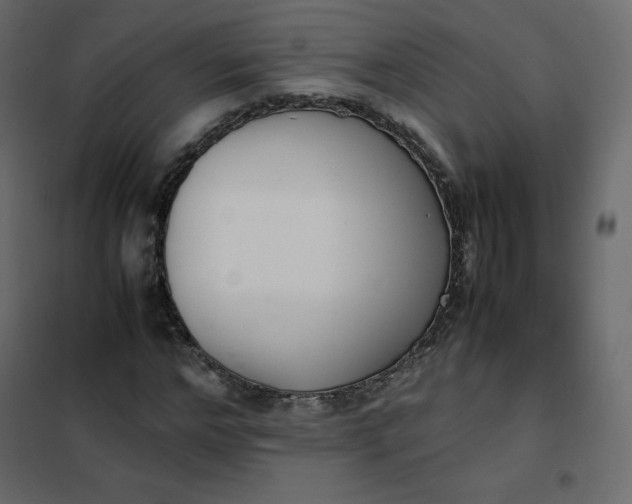 X0000102260968200808081357