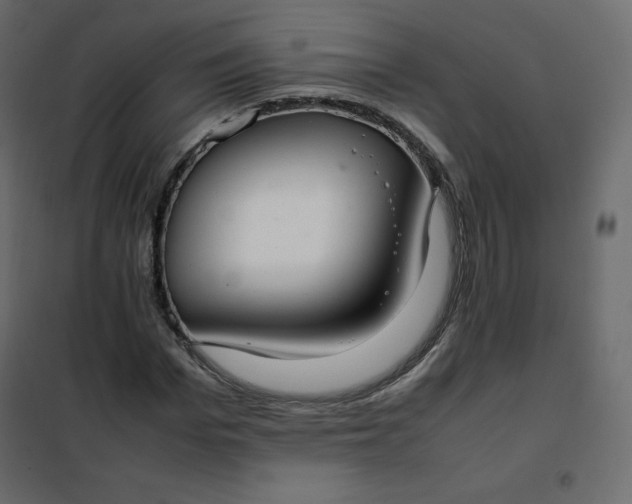 X0000102260969200808081357