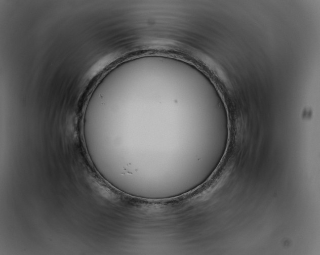 X0000102260970200808081357