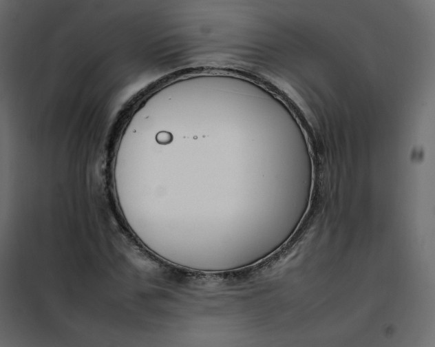 X0000102260971200808081357