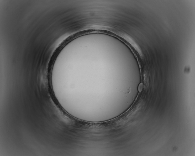 X0000102260972200808081357