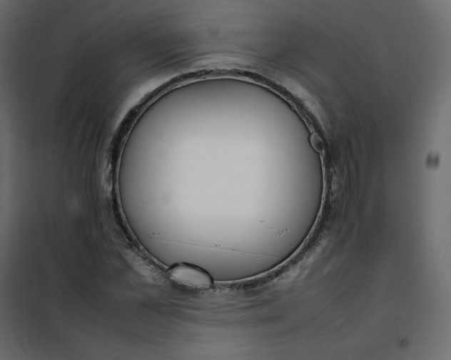 X0000102260973200808081357