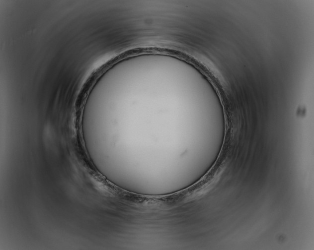 X0000102260974200808081357