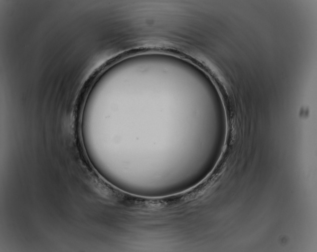 X0000102260975200808081357