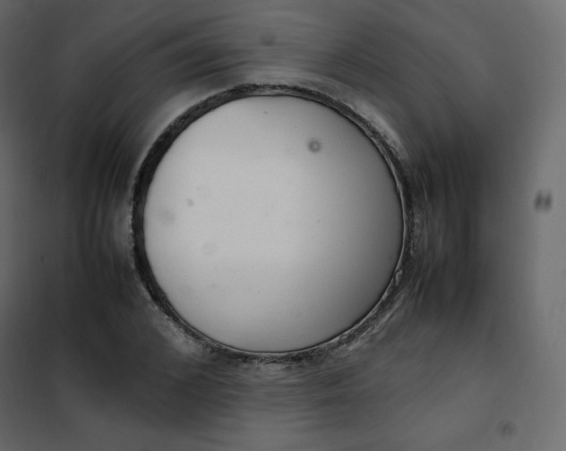 X0000102260976200808081357