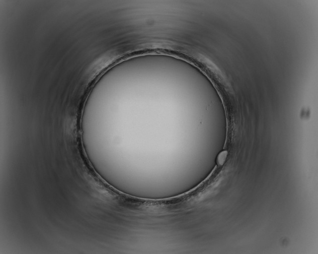 X0000102260977200808081357